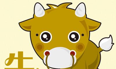 五行金木水火土:五类属牛人的整体运程