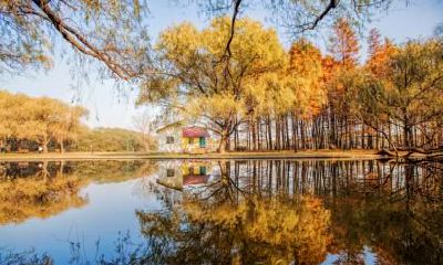 立秋出生的伟人有谁?立秋出生的属于什么命?