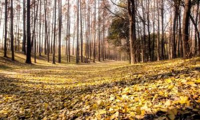 立秋出生的人命运如何?今年几点是立秋?