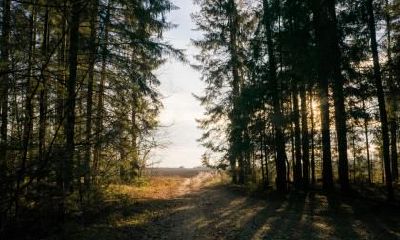 2018年七月初七出生的孩子名字推荐,七夕出生的孩子五行缺什么?