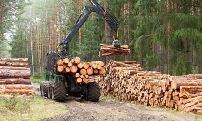 2018年立秋出生的女孩五行缺土怎么取名?孩子缺土有什么危害?