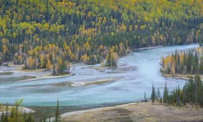 立秋节气简介,立秋的来历由来是哪里?