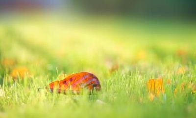 处暑有哪些注意事项?处暑代表着什么?