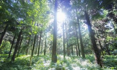 2018年立秋出生的男孩五行缺土怎么取名?缺土的取名技巧