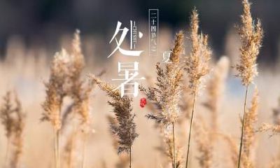 处暑十大禁忌大盘点,处暑天还热吗?