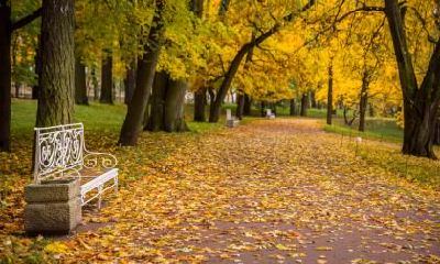 2018年立秋订婚好吗?订婚有何注意事项?