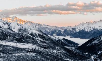 小雪怀孕好吗?小雪怀孕的预产期在什么时候?