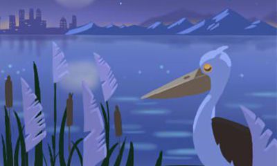 面对选择会焦虑不安的生肖女