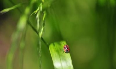 2019年5月21日小满节气可以同房吗?忌讳同房的节气有哪些?