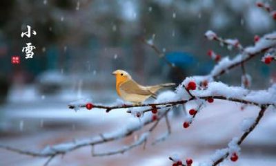 2018小雪是何时?具体时间几点几分?附小雪相关谚语