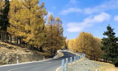 2019年农历四月十七是什么节气?小满吗?日子好不好?