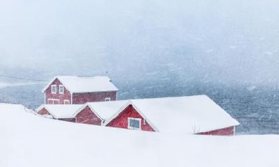 生肖虎处暑节气出生好不好?处暑出生的人爱情运如何?