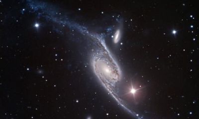 12星座大分析之白羊座