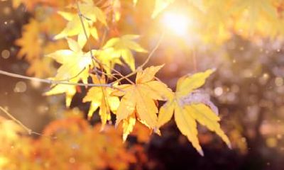 小满节气该如何养生?小满时节养生攻略