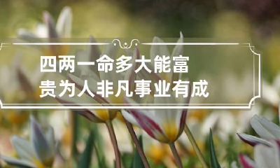 四两一命多大能富贵 为人非凡事业有成