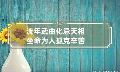 流年武曲化忌天相坐命 为人孤克辛苦