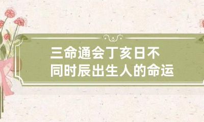 三命通会 丁亥日不同时辰出生人的命运