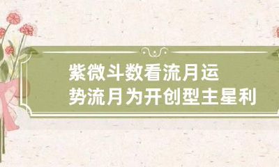 紫微斗数看流月运势 流月为开创型主星利于求财