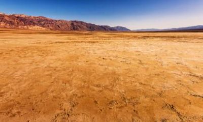 2022年惊蛰是哪天几九的第几天?惊蛰后天气还会冷吗?