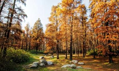 2022年惊蛰节气是什么时候?惊蛰与生产生活的关系