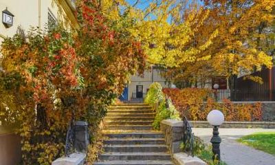 惊蛰是什么节气是代万物复苏吗?有什么气候特征?