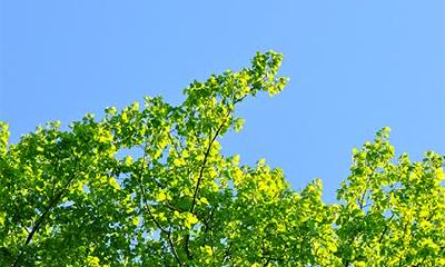 2018年大暑出生的孩子怎么取名?孩子的五行论命如何?