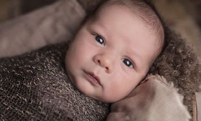 2019年农历五月出生的孩子是什么属相的?