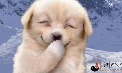 梦见我被他人嘲笑