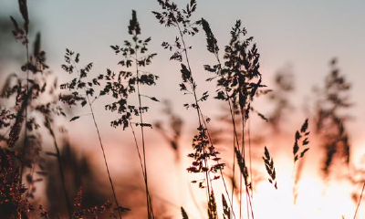 越发恩爱,越不可以碰触水瓶座的道德底线,她们的爱通常是有前提条件的