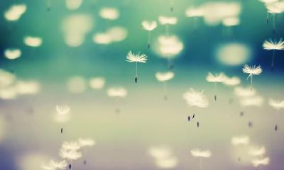 有关水瓶座的16条冷门知识!假如感觉TA反感那TA一定是有意的