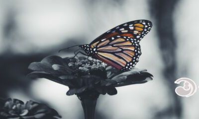 劳碌命的手型手相