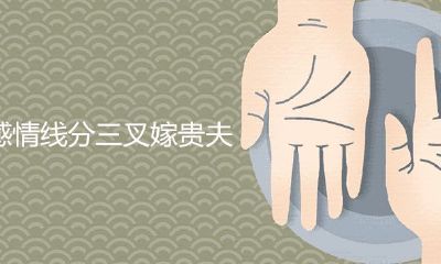 感情线分三叉嫁贵夫是