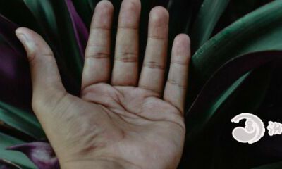 早死的手相详解