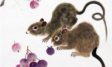 聪慧!智商最高的4大属相