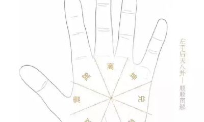 掌纹分析,看右手或是左手?