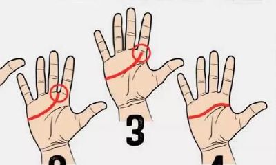 火遍日站的“手掌纹确诊”!从手掌纹迈向看得出你是哪一种人!