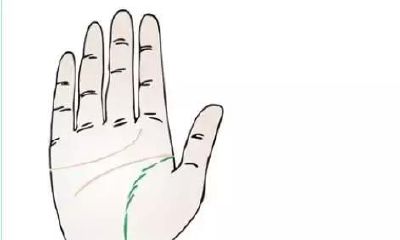 掌纹上的3条主线任务,教你看看最基本的掌纹