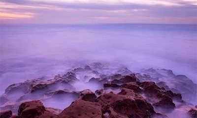 仓内之鼠是什么意思,2008年仓内之鼠是什么命