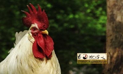 69年53岁属鸡的坎有什么