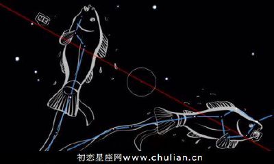 双鱼座的职场表现