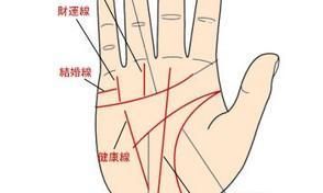 十二种富命人掌纹特点,妇女手如姜,财帛全仓箱