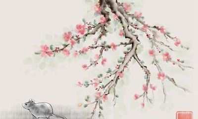 男生肖鼠配什么生肖最好 配属牛女非常完美