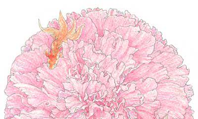 双鱼座的星座守护花是什么?