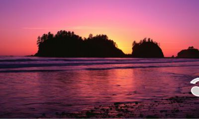 女人享福好命的手型