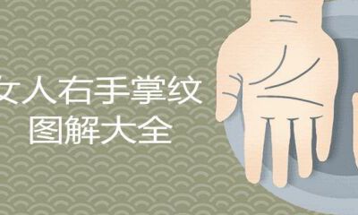 女人右手掌纹图解全集