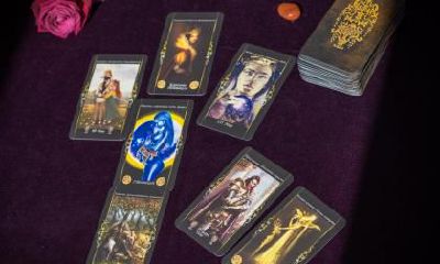 男鼠女兔的婚姻合吗?属兔的几月出生最好?