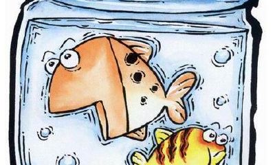 双鱼座听到我爱你时的反应