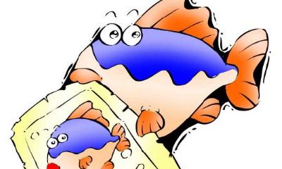 双鱼座发生师生恋的机率有多大?