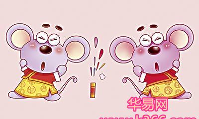 属鼠男生和属兔女生配对