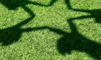 毕业后双子座最难割舍的是什么?